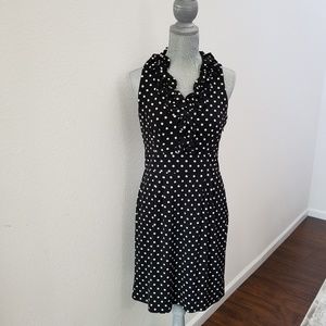 EUC Taylor Polka Dot Dress